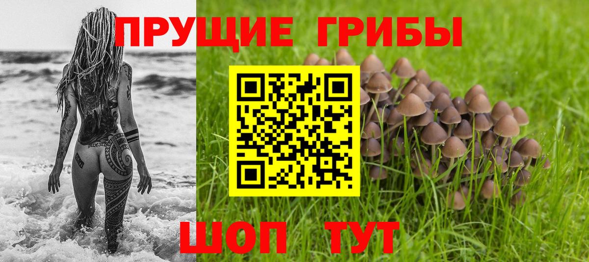Галлюциногенные грибы Cubensis  Вход с VPN  Алапаевск 