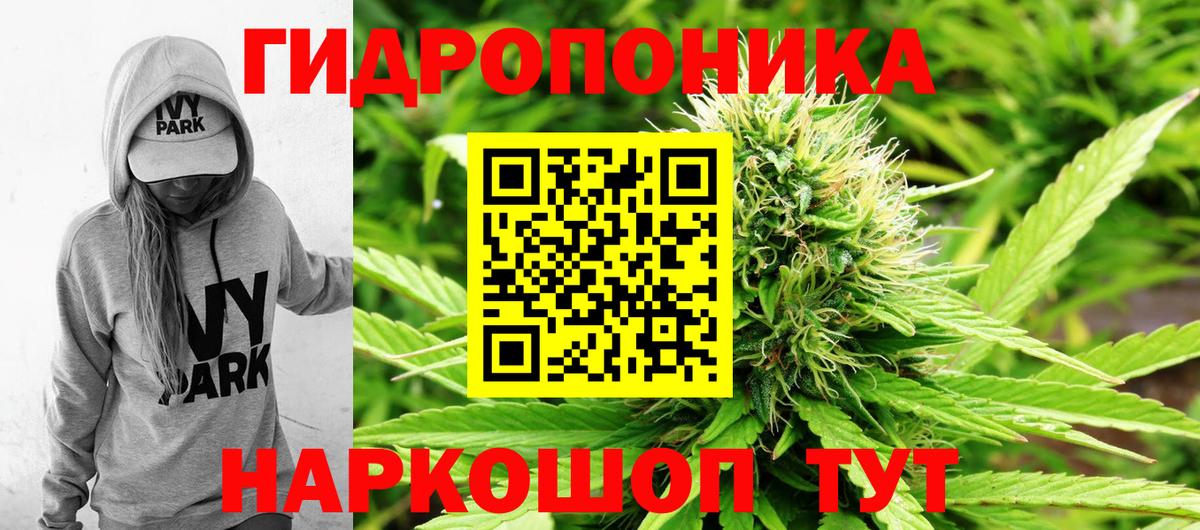 Бошки Шишки гибрид  Шишки марихуана MAZAR  Алапаевск  Конопля Bruce Banner  Канабис конопля  Вход с VPN 